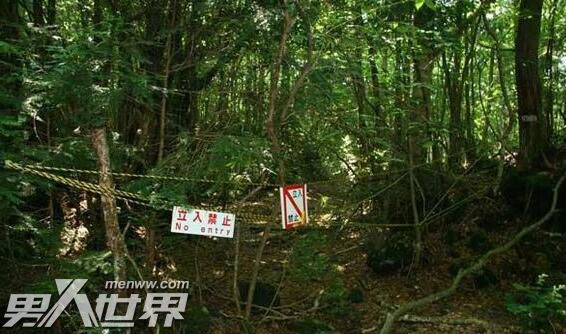 日本死亡森林可以进去吗