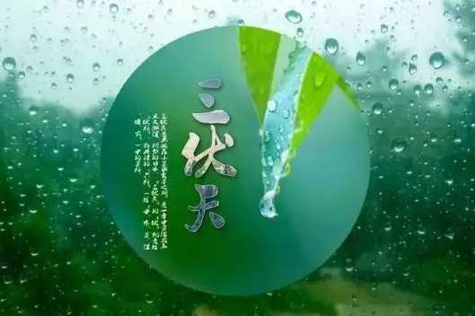 三伏天2022从哪天开始2