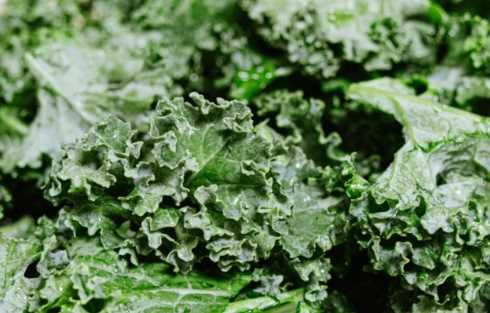 羽衣甘蓝有什么功效1