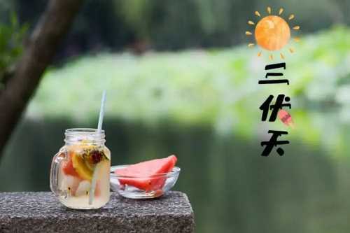 2022年7月几号入头伏3