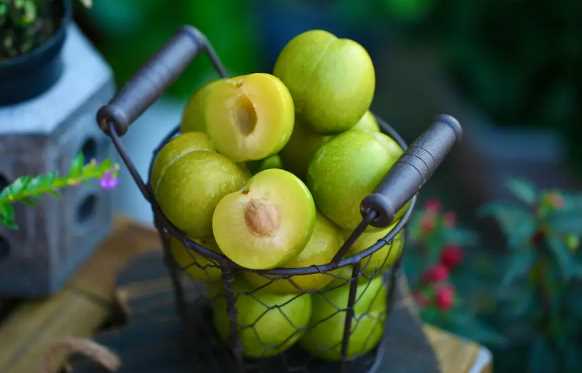 蜂糖李可以放冰箱冷藏吗3