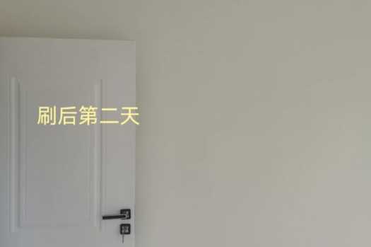 立邦珍珠白墙面漆效果图3