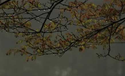 2022北京7月份下雨多吗2