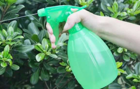 用高锰酸钾浇花会把花烧死吗3