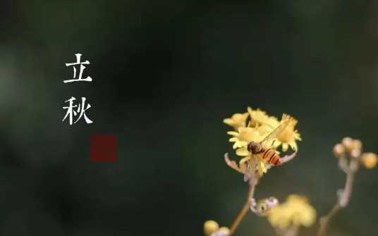 2022年立秋后气温度大概有多少度1