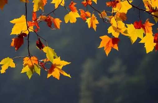 2022年立秋后气温度大概有多少度3