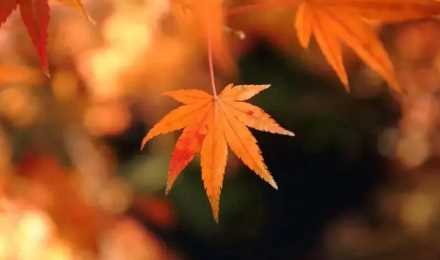 2022年秋分过后是不是越来越冷1