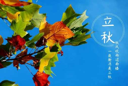 2022立秋后还有几天出伏2
