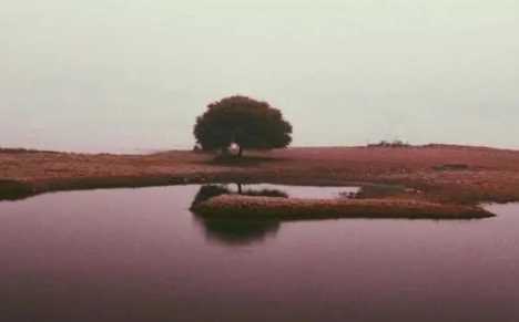 谢土一般在哪几个月1
