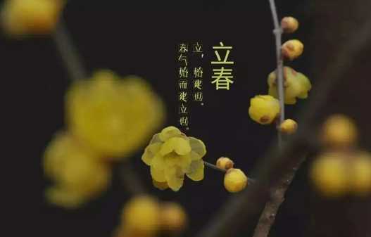 2023年哪天立春什么时刻立春2