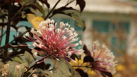 国庆去西双版纳冷了吗2