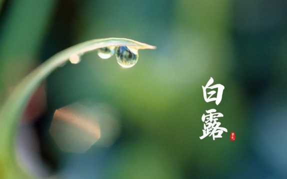 2022年白露在什么时间几点几分几秒钟1
