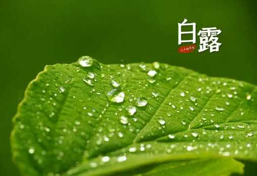 2022年白露在什么时间几点几分几秒钟2
