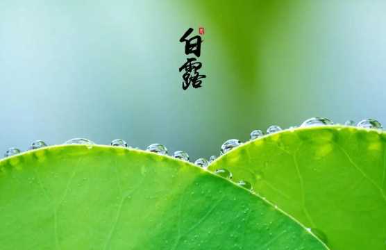 2022年白露在什么时间几点几分几秒钟3