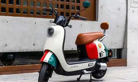 电动车2个月没用充电亮绿灯怎么回事1