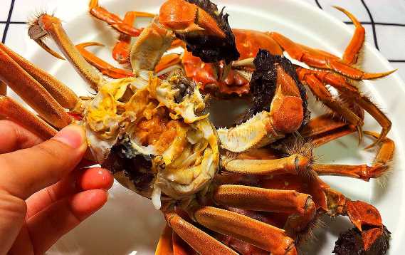 食蟹不能吃什么食物和水果【食蟹不能吃什么食物】