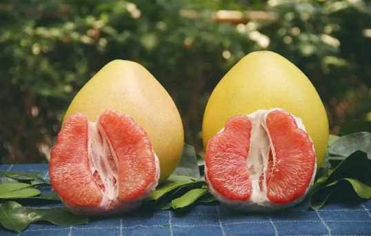 柚子蒸熟后是凉性还是热性3