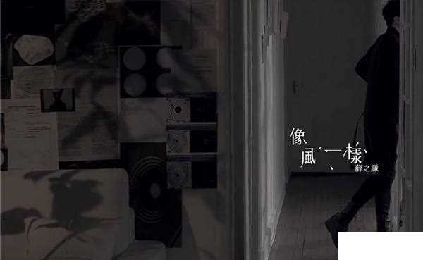 像风一样MV